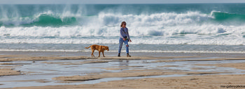 Beach waves dog walker This landscape photograph shows a person walking a dog along the sandy beach at Sennen Cove, Cornwall, on the coast of the United Kingdom. It is afternoon in early spring, indicated by the fresh look of the beach and the crisp sunlight. The beach scene captures dynamic waves crashing onto the shore, typical of the area's natural coastal environment, with both people and dogs enjoying the outdoors. Nature is prominent in the image, with the forceful Atlantic Ocean providing a dramatic backdrop to the leisurely activity.